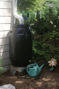 Rain barrel