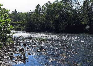 Scenic River