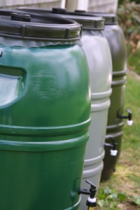 rain barrels green