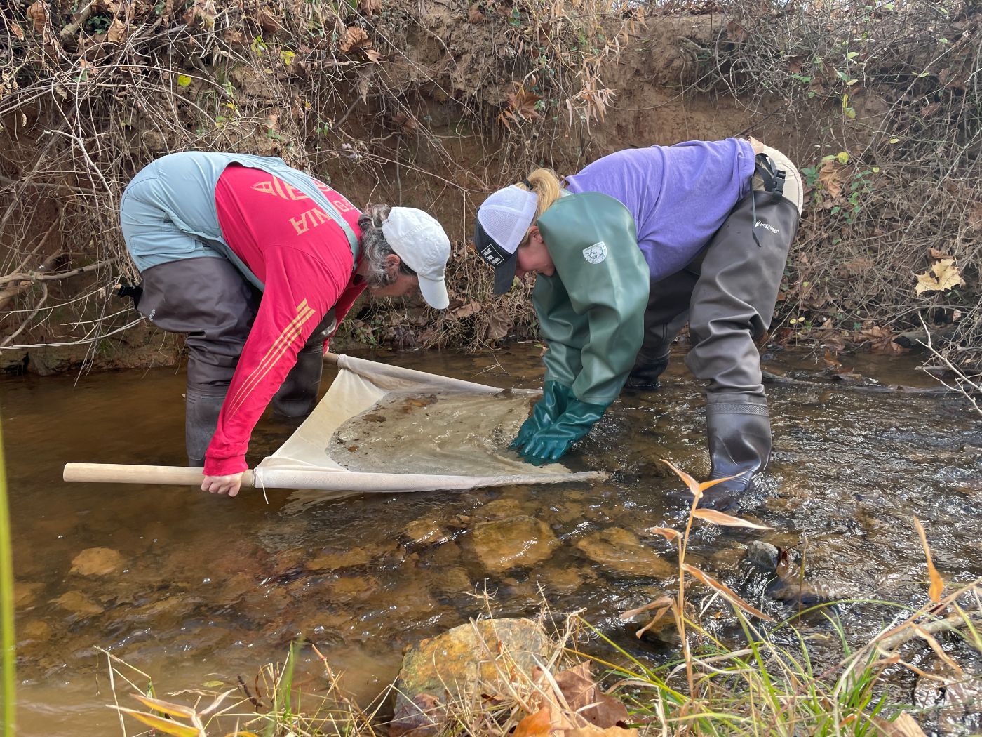 benthic monitors in a stream